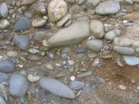 Albums/20060200-New Zealand 2006/20060316-Twiz/4